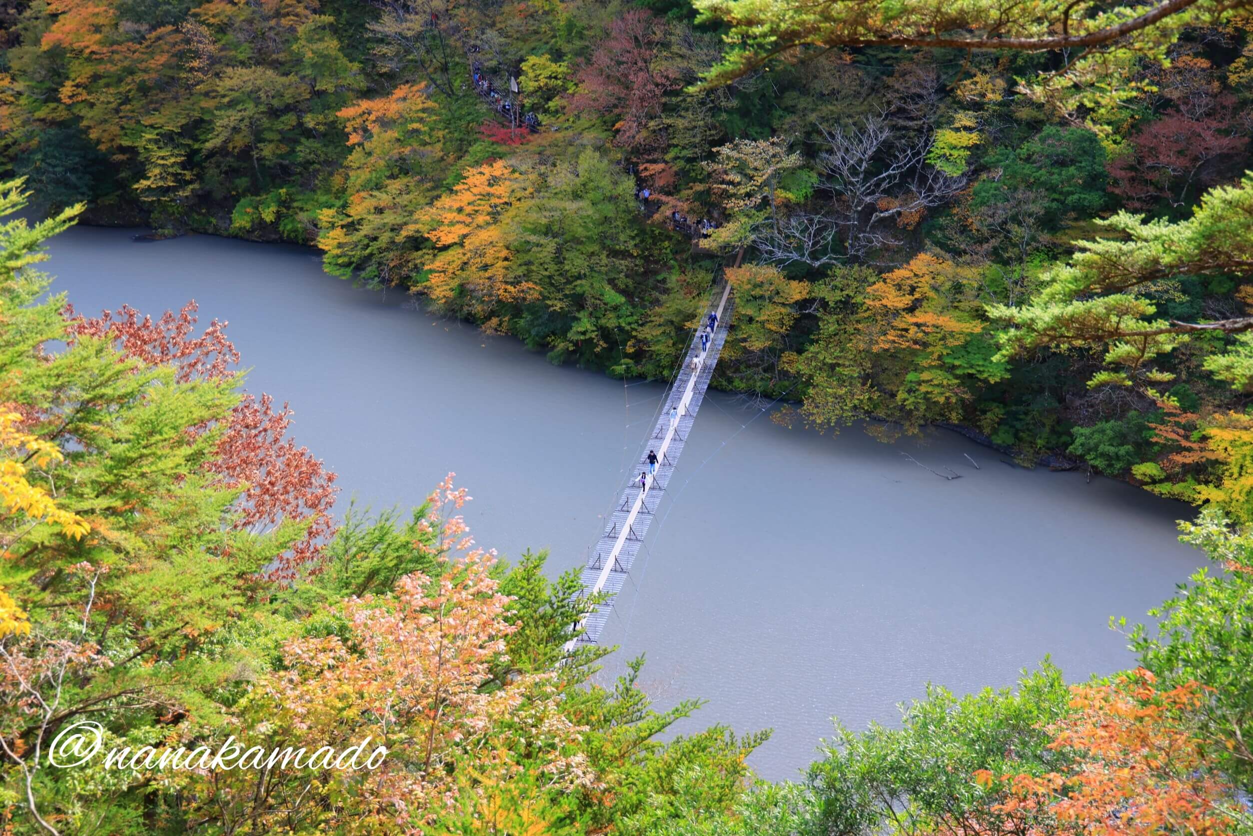 寸又峡夢の吊り橋