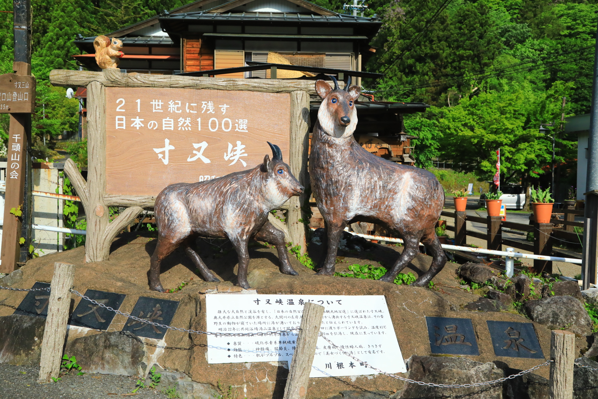 寸又峡夢の吊り橋