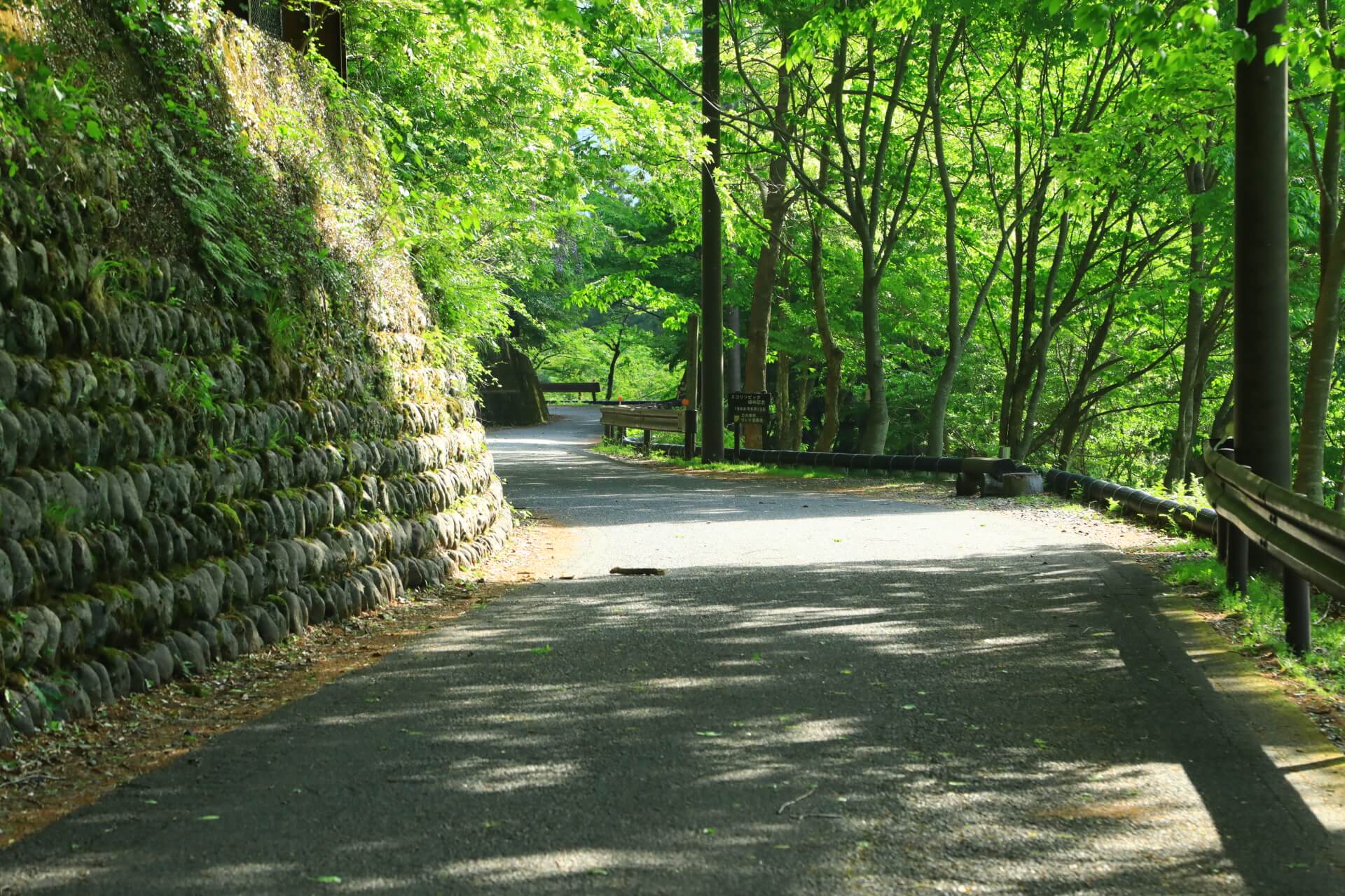 寸又峡夢の吊り橋