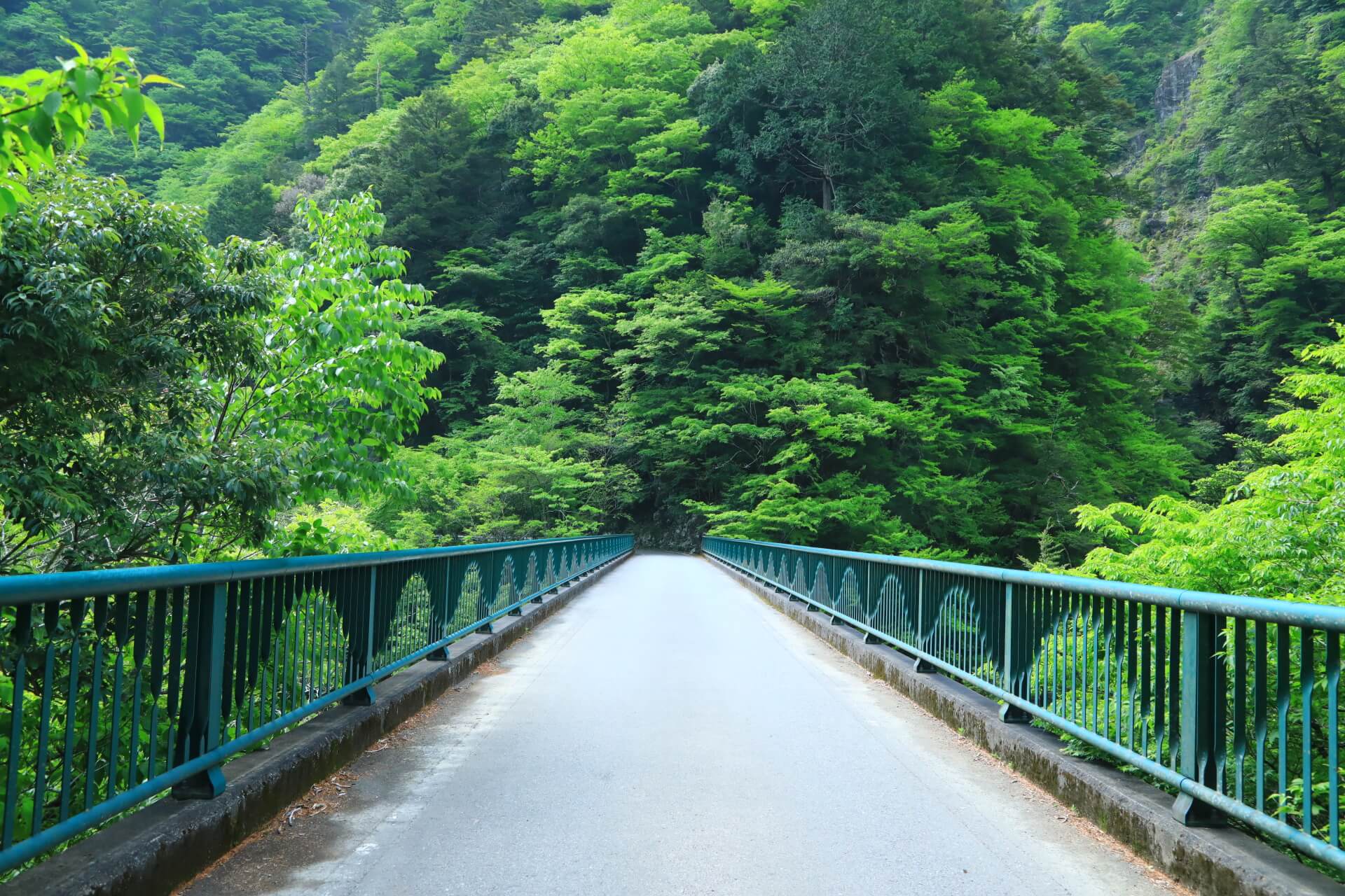 寸又峡飛龍橋