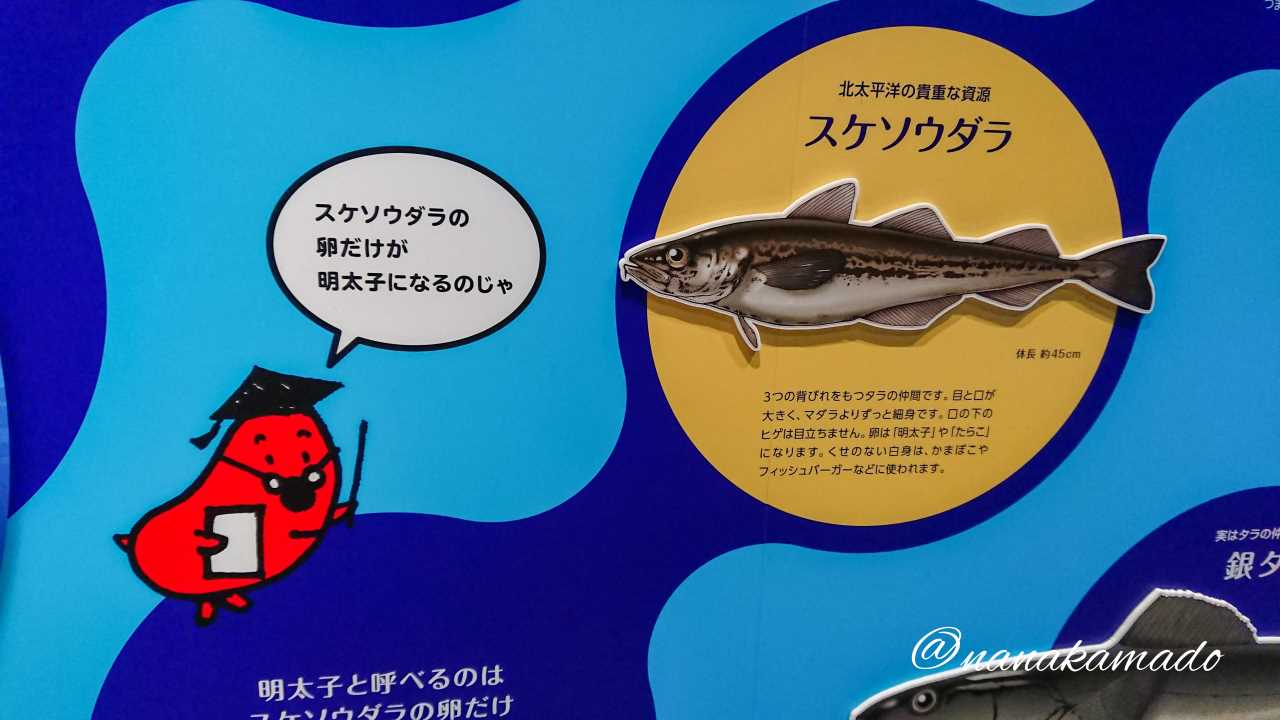かねふくめんたいパーク伊豆