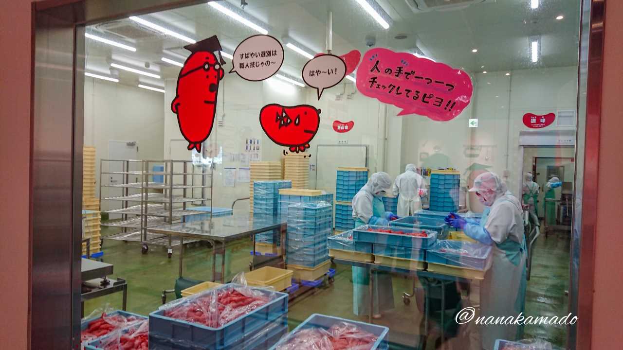かねふくめんたいパーク伊豆